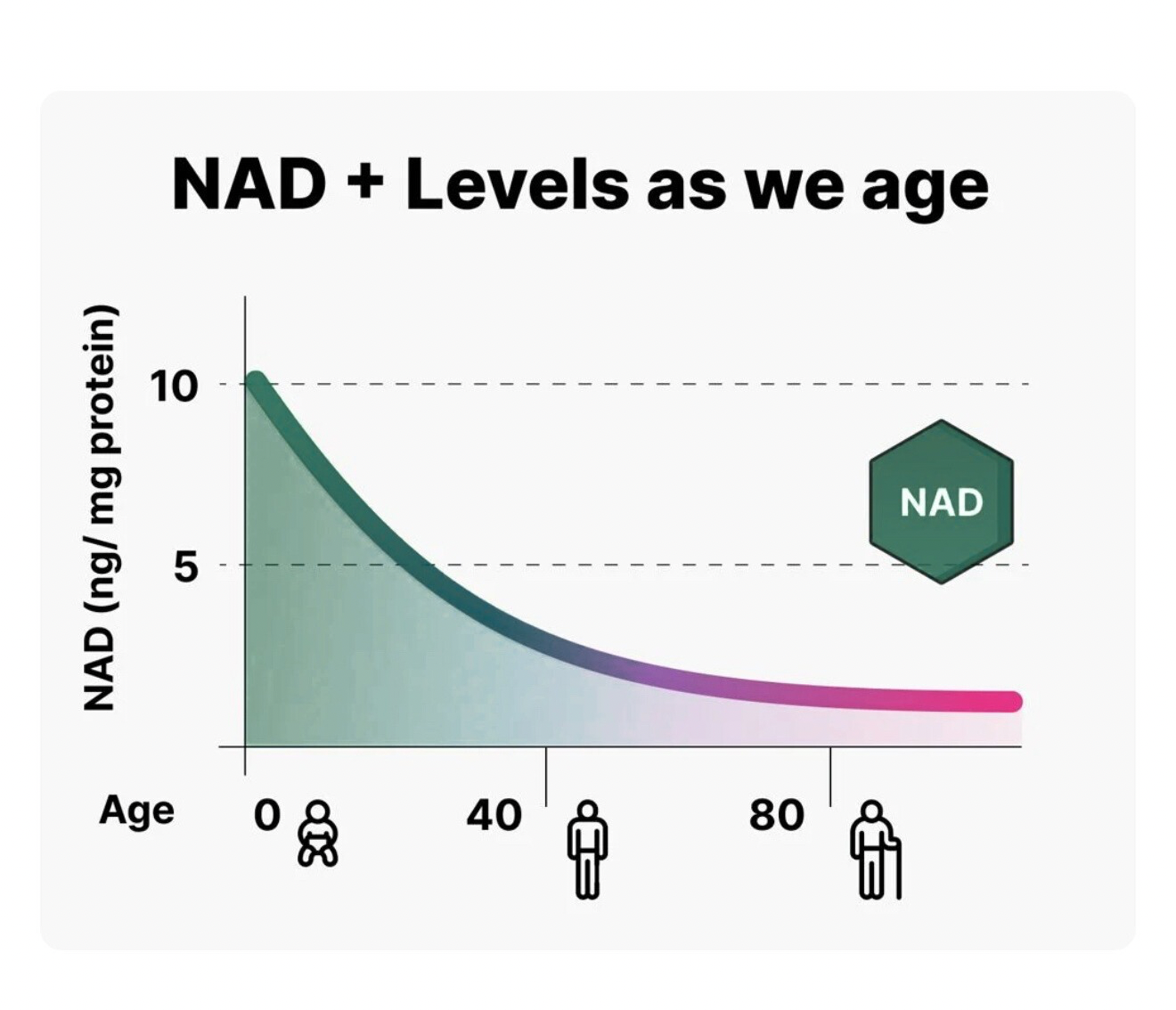 Age Rewind-NAD+